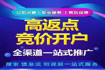 百度竞价推广运营策略：成功案例解析